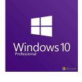 Microsoft Windows 10 Pro (Professional) 64/32BIT, nur Lizenzschlüssel Arbeitsspeicher (RAM)