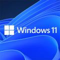 Microsoft Windows 11 Pro, Lizenz / Produktkey Arbeitsspeicher (RAM)